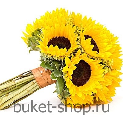 ����� ������� �94. ����������, ��������, ������. �������� ������ BUKET-SHOP.RU