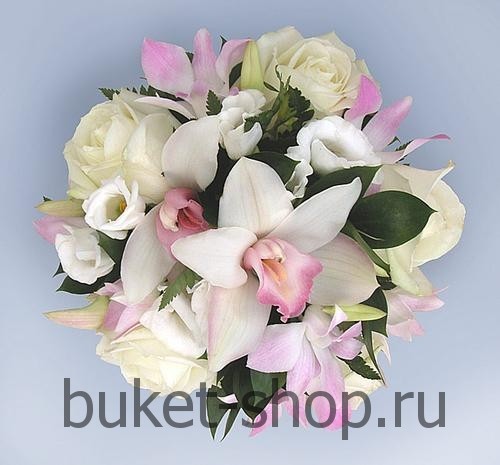 ����� ������� � 19. �������, ����. �������� ������ BUKET-SHOP.RU