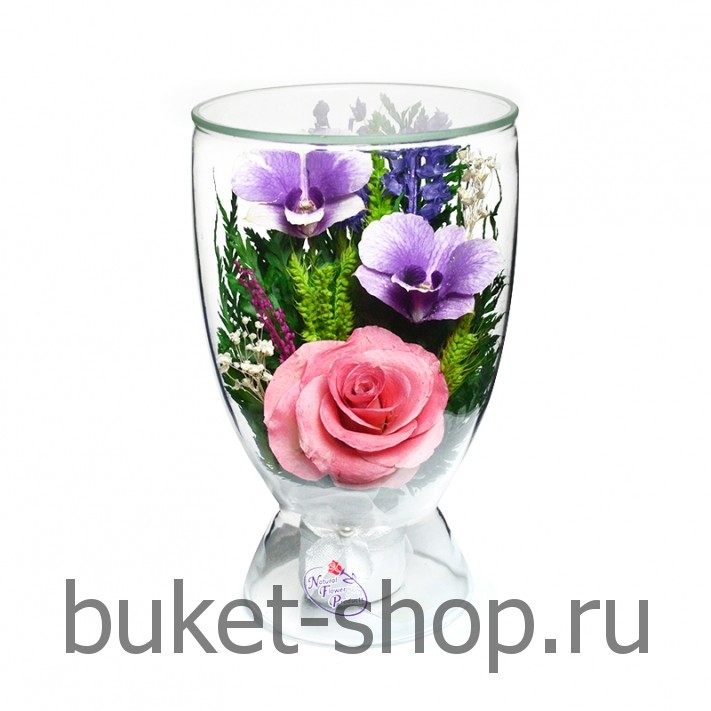       . ,  .   BUKET-SHOP.RU