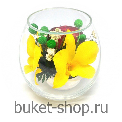����, �������. . �������� ������ BUKET-SHOP.RU