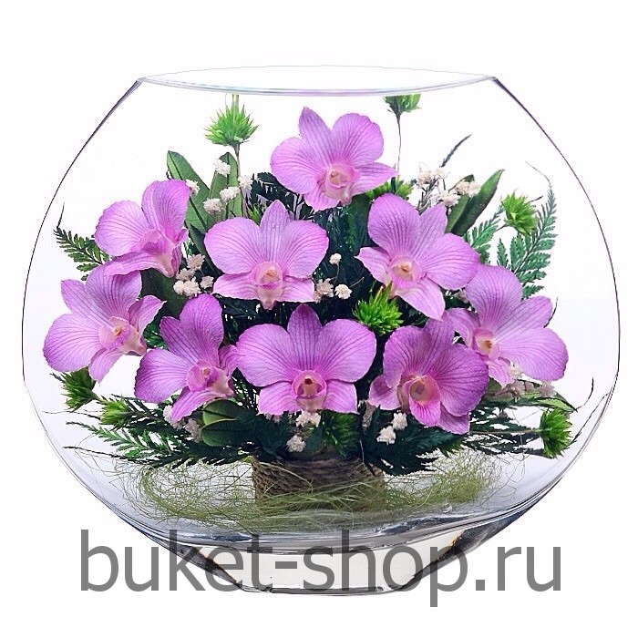 . .   BUKET-SHOP.RU