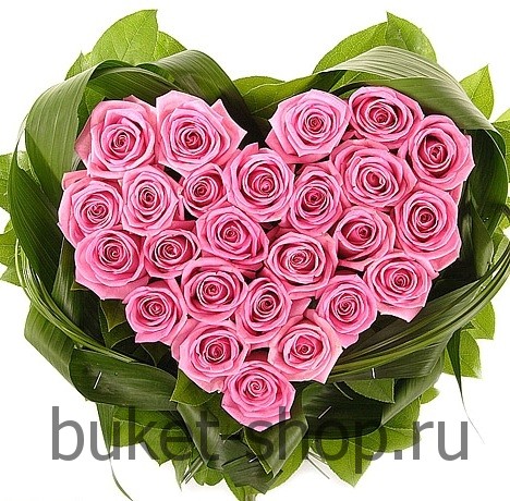   25  . , .   BUKET-SHOP.RU