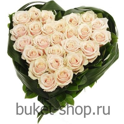   25  . , .   BUKET-SHOP.RU