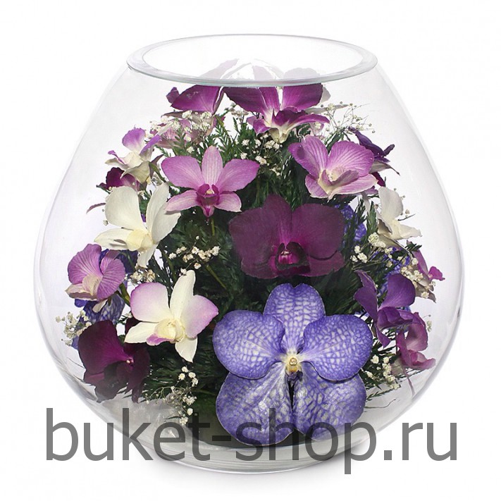      . .   BUKET-SHOP.RU