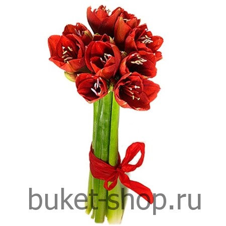 . .   BUKET-SHOP.RU