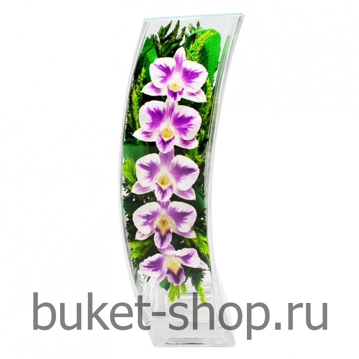      . .   BUKET-SHOP.RU