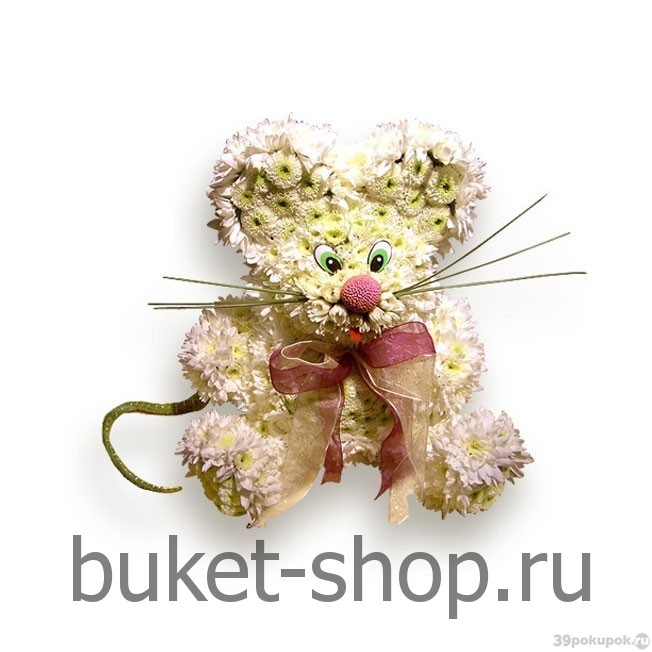 �����. ����������. �������� ������ BUKET-SHOP.RU