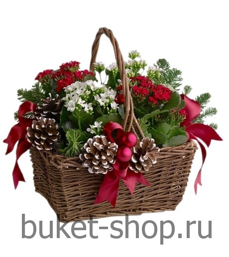 ���������� ���������� �34.  �������� ��������, �����, ���. �������� ������ BUKET-SHOP.RU