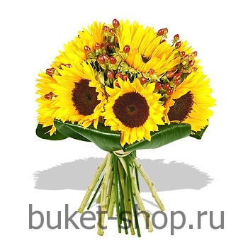  . , .   BUKET-SHOP.RU