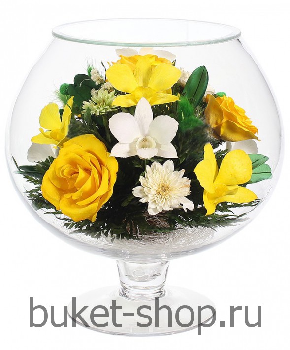       . , .   BUKET-SHOP.RU