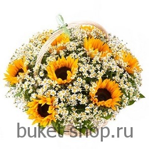  . .   BUKET-SHOP.RU