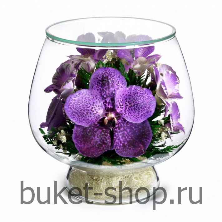 . .   BUKET-SHOP.RU