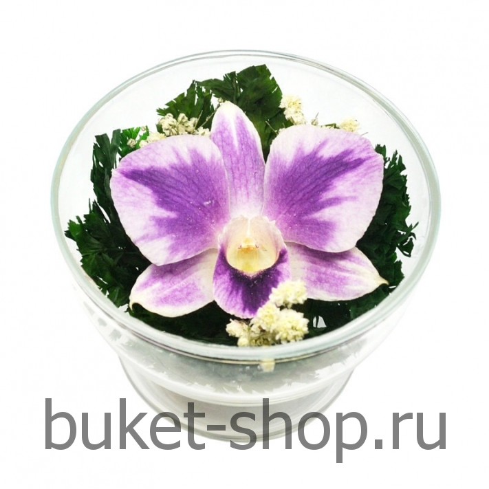      . .   BUKET-SHOP.RU