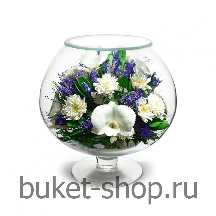 ���������� � ������� �� ����� ������ . ������� . �������� ������ BUKET-SHOP.RU