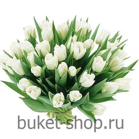 �������. ��������. �������� ������ BUKET-SHOP.RU