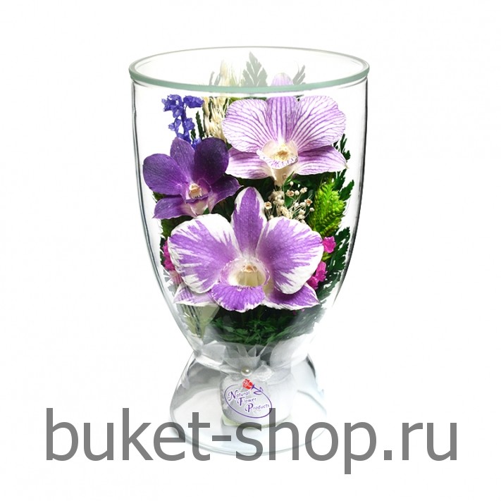       .  .   BUKET-SHOP.RU