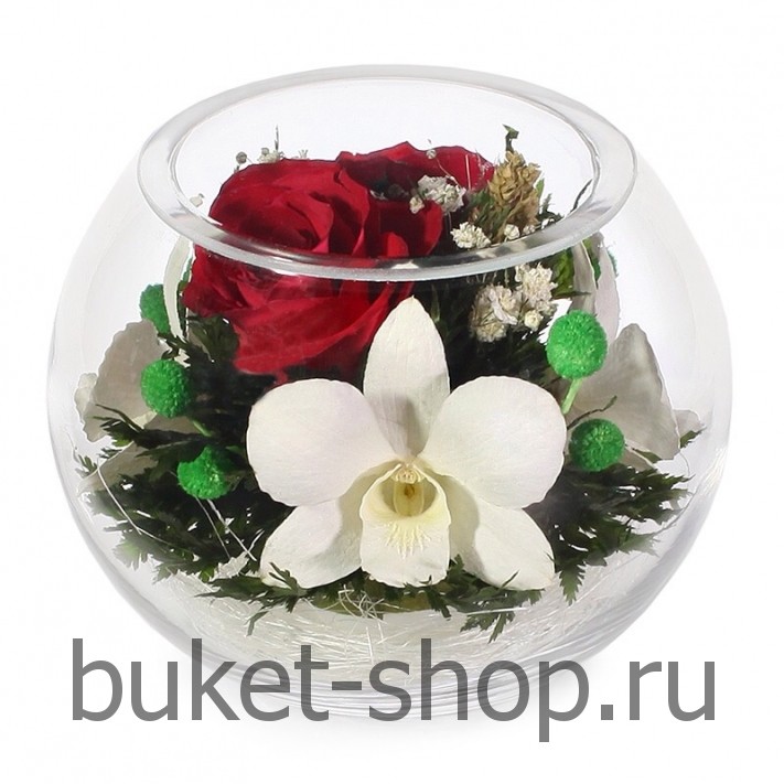 ����, �������. . �������� ������ BUKET-SHOP.RU