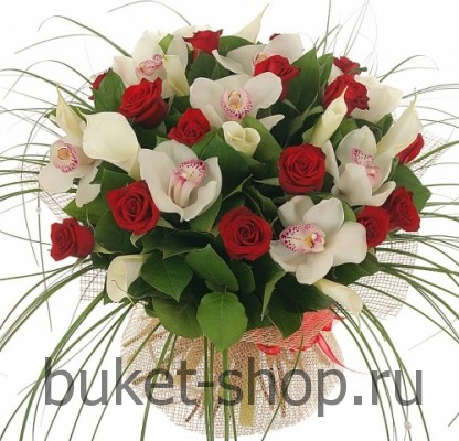 . , ,  .   BUKET-SHOP.RU