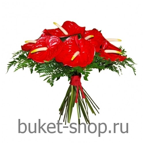  . , .   BUKET-SHOP.RU