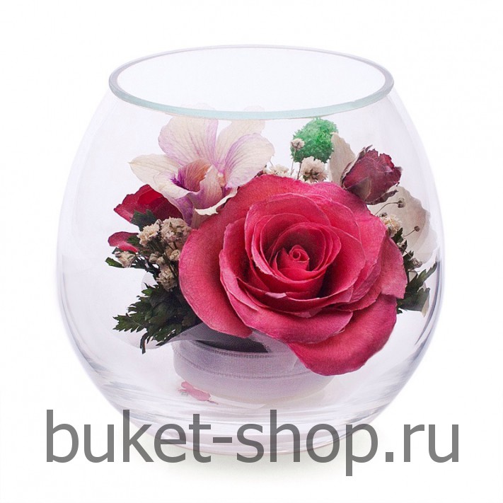      . , .   BUKET-SHOP.RU