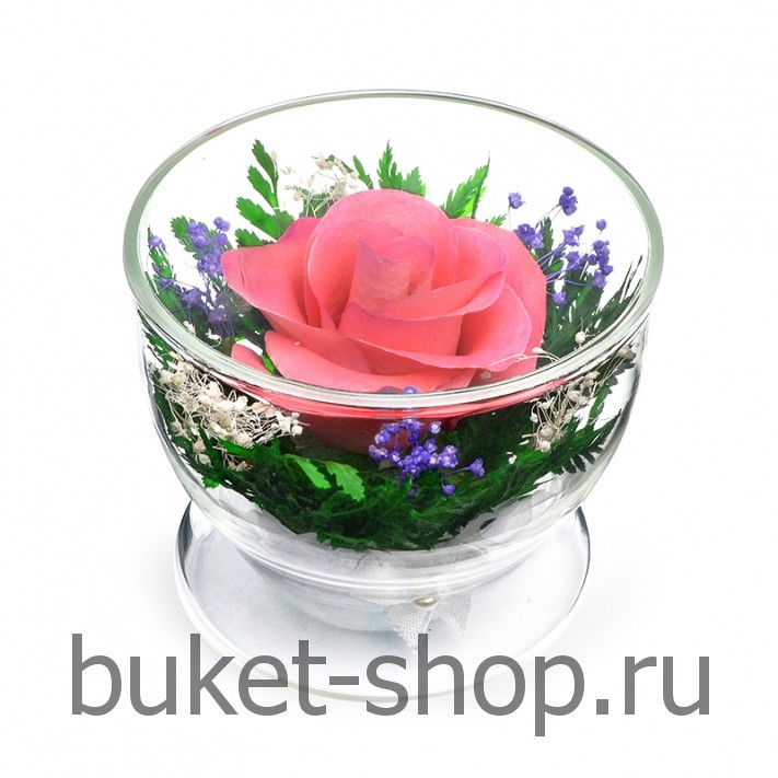 ����. . �������� ������ BUKET-SHOP.RU