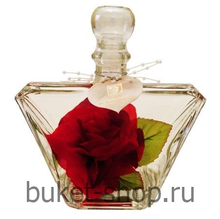 ���� ��� ����� 