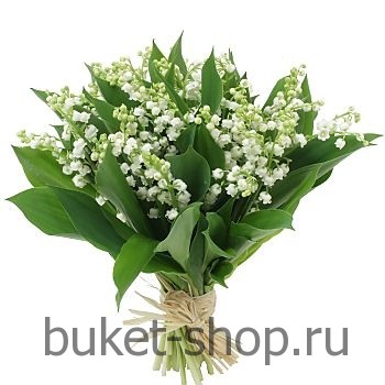  . ,.   BUKET-SHOP.RU