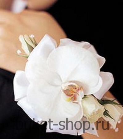   . , .   BUKET-SHOP.RU