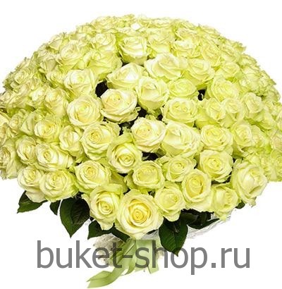 101   .  .   BUKET-SHOP.RU