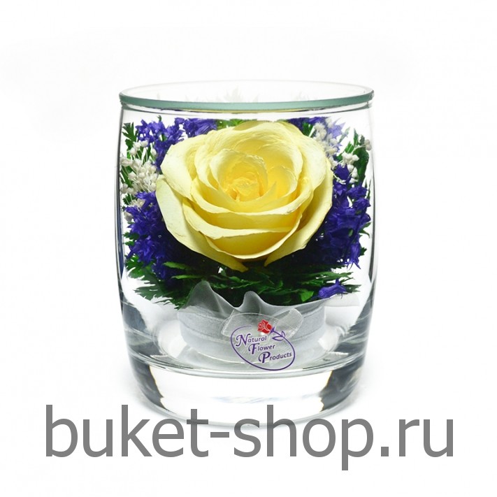 ���������� � ������� �� ����� ������ . ���� . �������� ������ BUKET-SHOP.RU