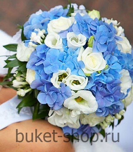 ����� ������� �54. ����, ���������, �������. �������� ������ BUKET-SHOP.RU