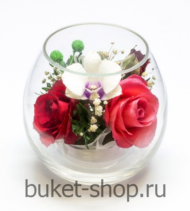      . , .   BUKET-SHOP.RU