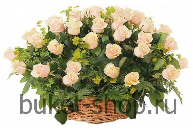 �������  51 ���� �����. ����, ������. �������� ������ BUKET-SHOP.RU