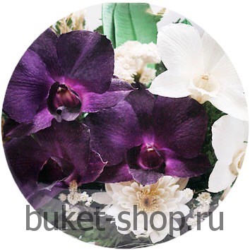 ���������� � ������� �� ����� ������. �������. �������� ������ BUKET-SHOP.RU