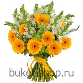  . , .   BUKET-SHOP.RU