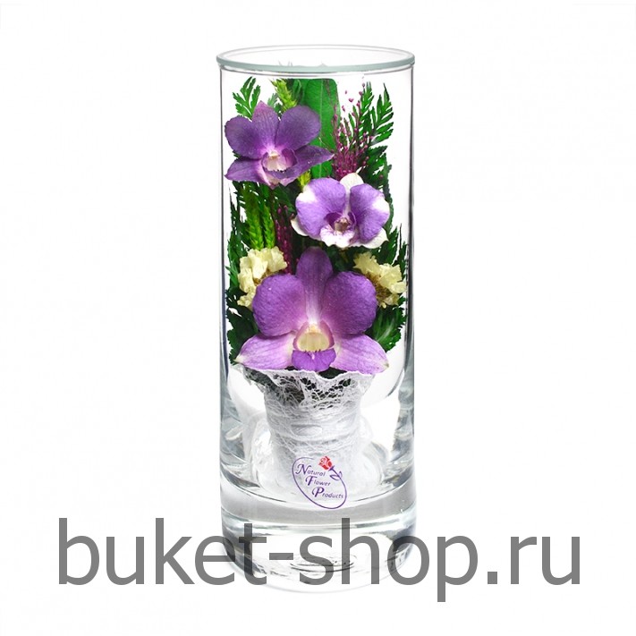       .  .   BUKET-SHOP.RU