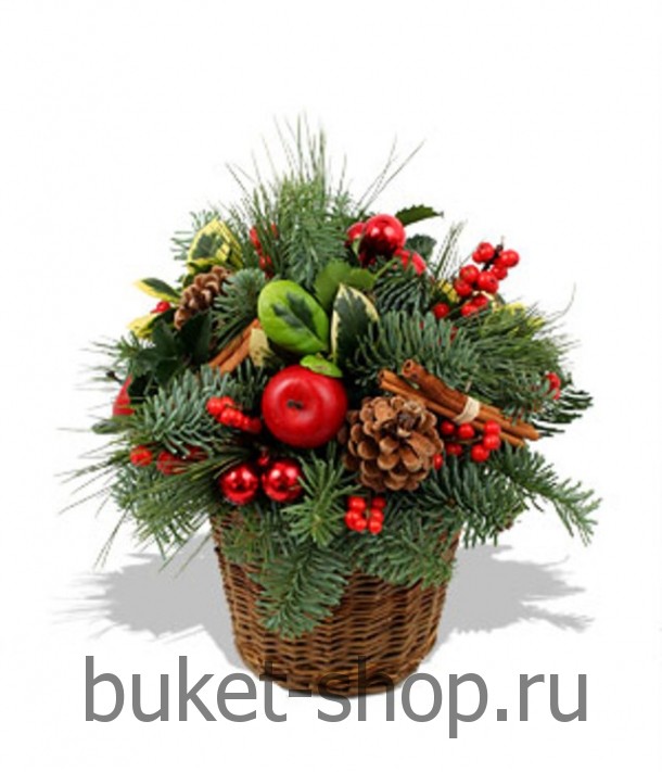   27. .   BUKET-SHOP.RU