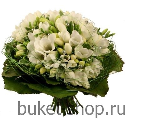 ����� ������� �39. ������, ������. �������� ������ BUKET-SHOP.RU