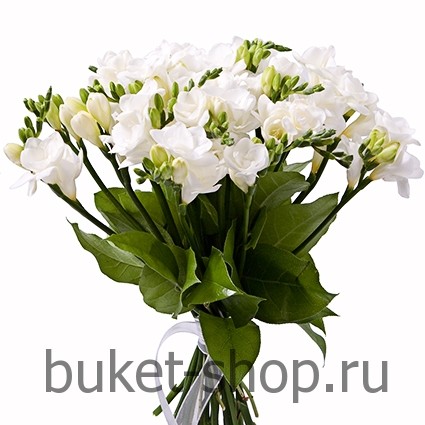 . , .   BUKET-SHOP.RU