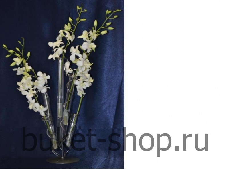 ���� ��� ������. ������, ������. �������� ������ BUKET-SHOP.RU