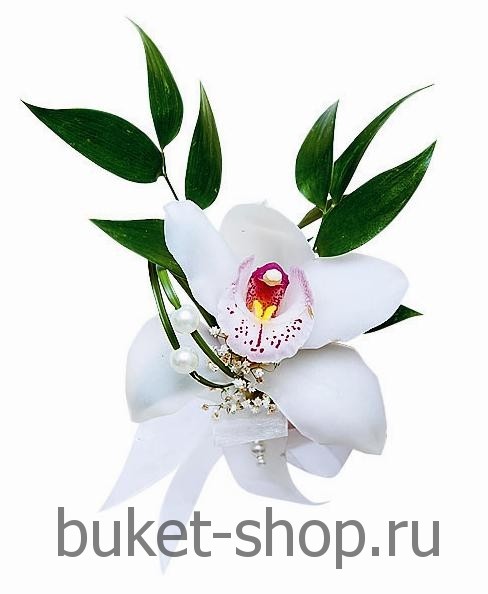  18. .   BUKET-SHOP.RU