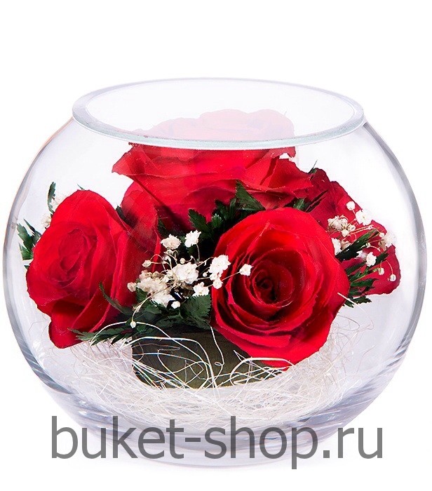 ���������� � ������� �� ����� ������. ����. �������� ������ BUKET-SHOP.RU