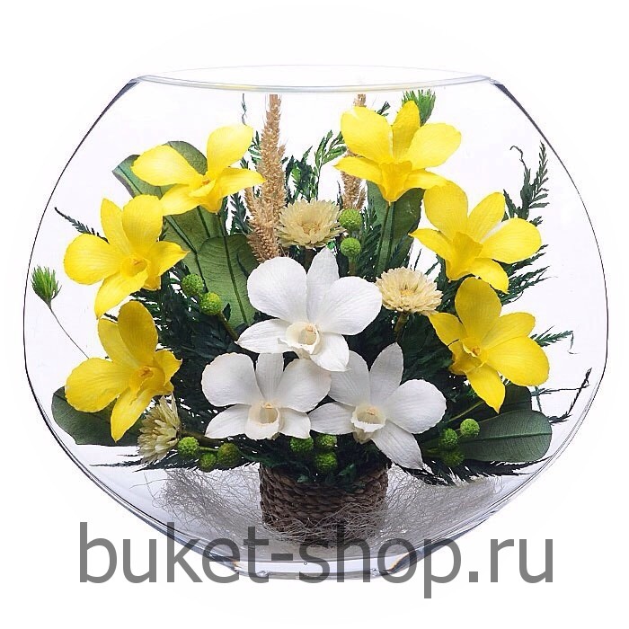 �������. . �������� ������ BUKET-SHOP.RU