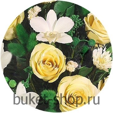  ���������� � ������� �� ����� ������. ����, �������. �������� ������ BUKET-SHOP.RU