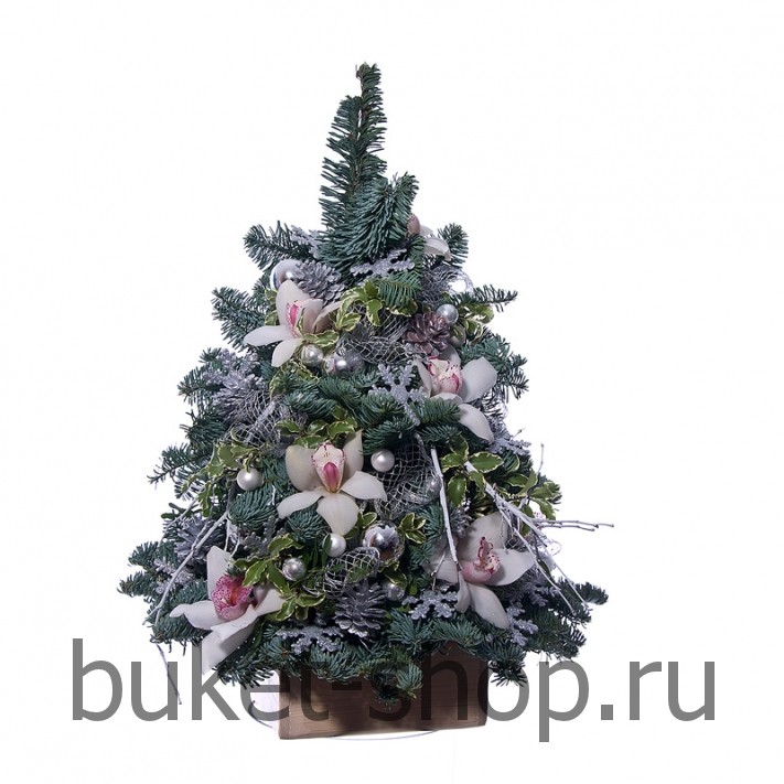 ���������� �����������13. ���, �������. �������� ������ BUKET-SHOP.RU