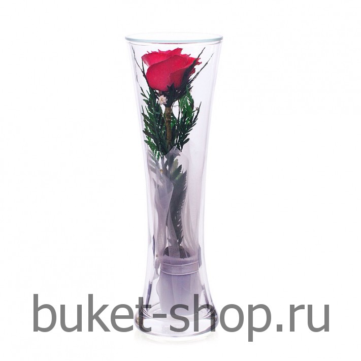 ����. . �������� ������ BUKET-SHOP.RU