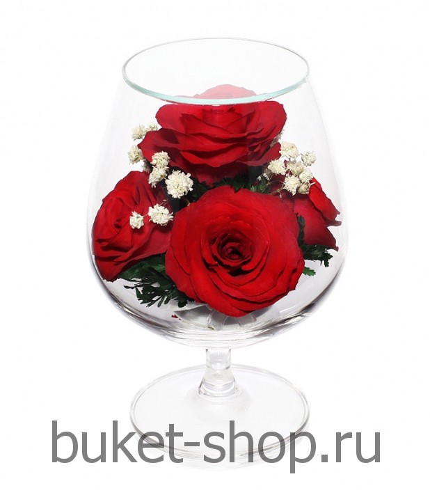 ���������� � ������� �� ����� ������. ����. �������� ������ BUKET-SHOP.RU