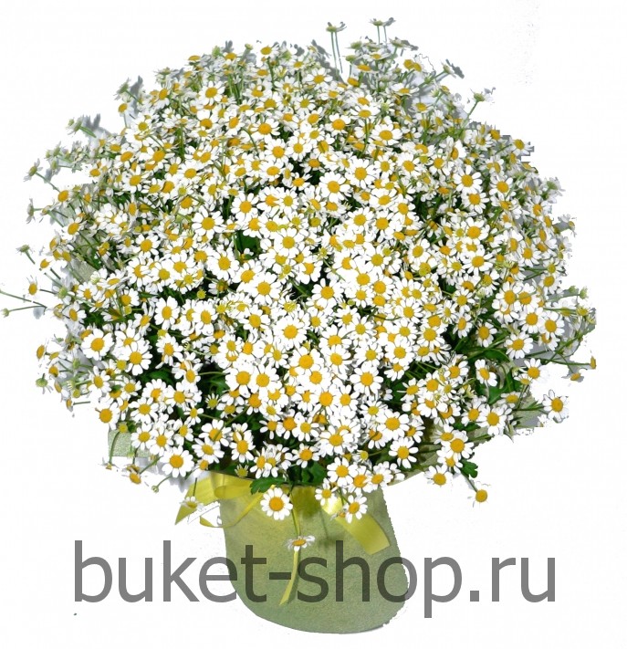  . .   BUKET-SHOP.RU