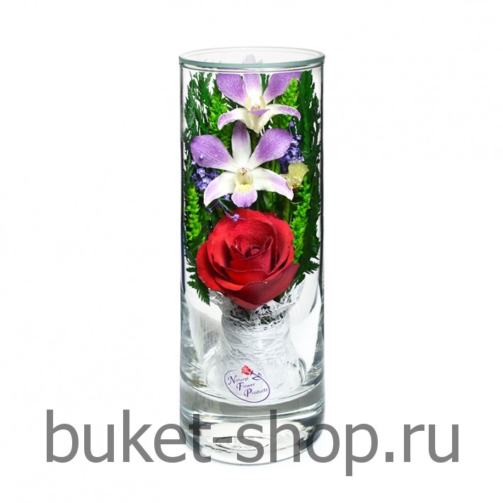       .  .   BUKET-SHOP.RU