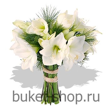 . , .   BUKET-SHOP.RU